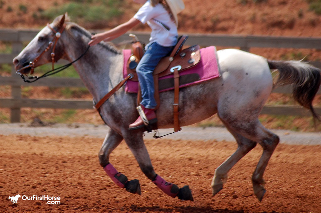 Four hooves in the air Our First Horse