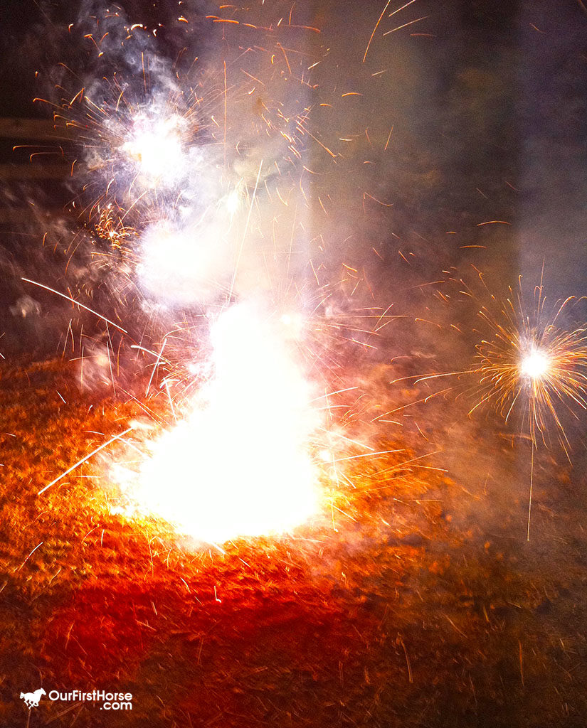 Horses and Fireworks Our First Horse