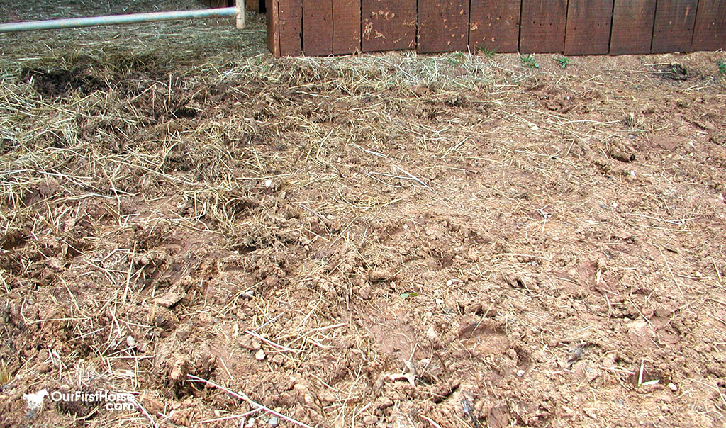 Barn Entry Mud Abatement Part 1 Our First Horse