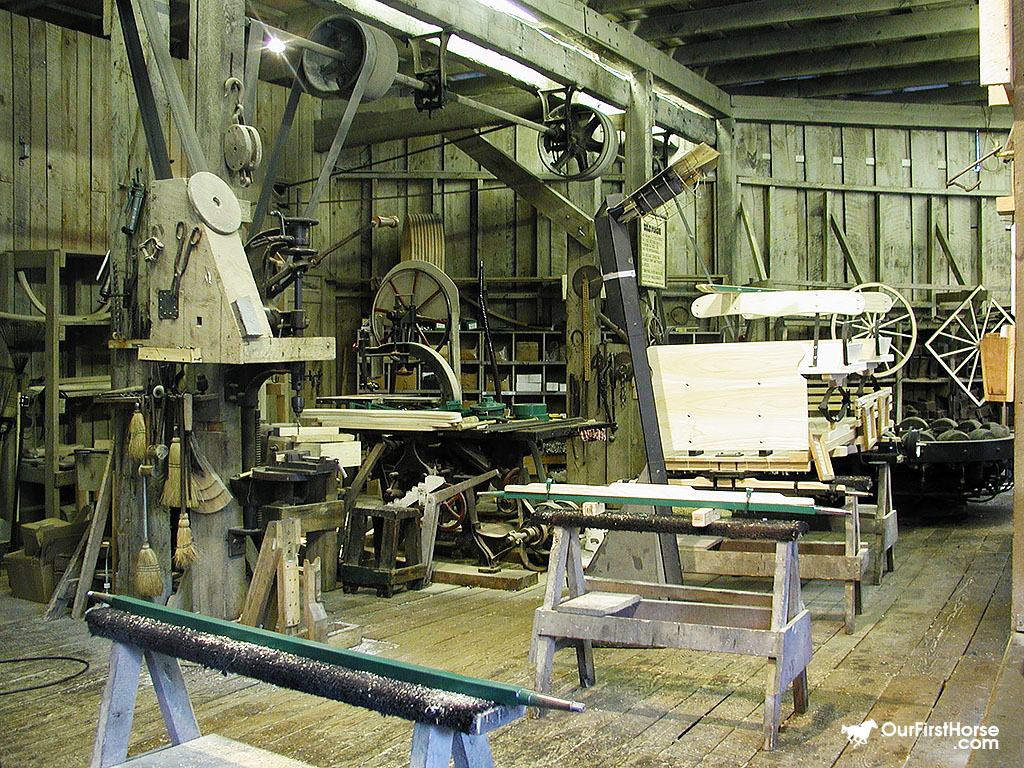 Horse Carriages Our First Horse