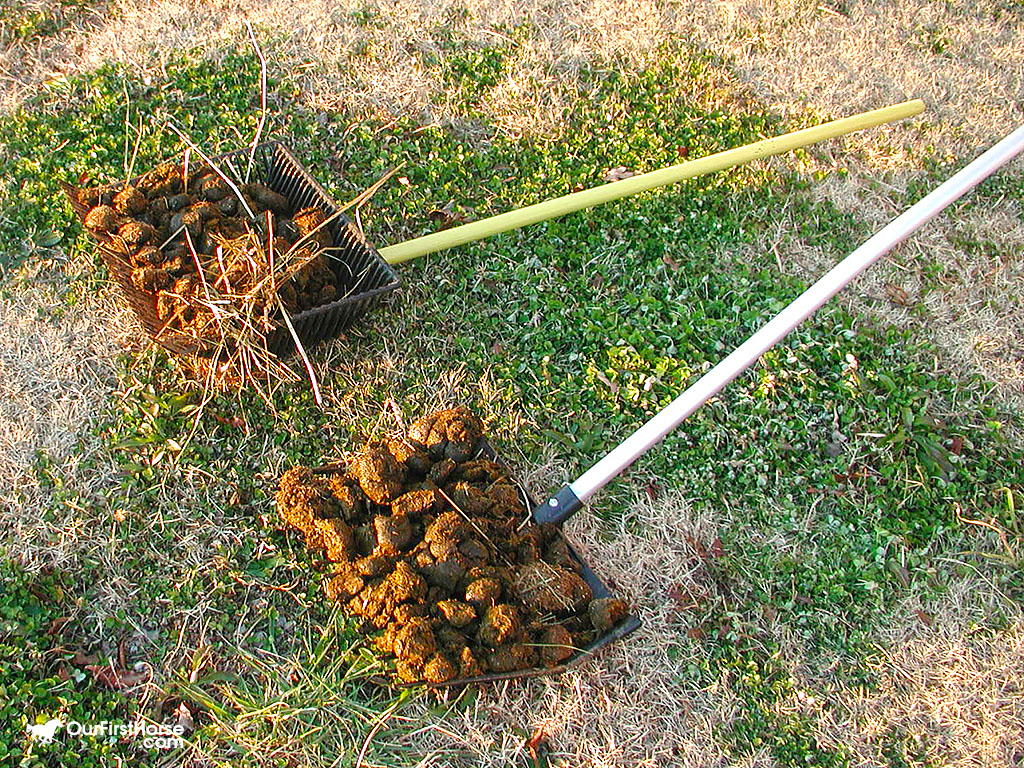 Stall Fork Preferences Our First Horse