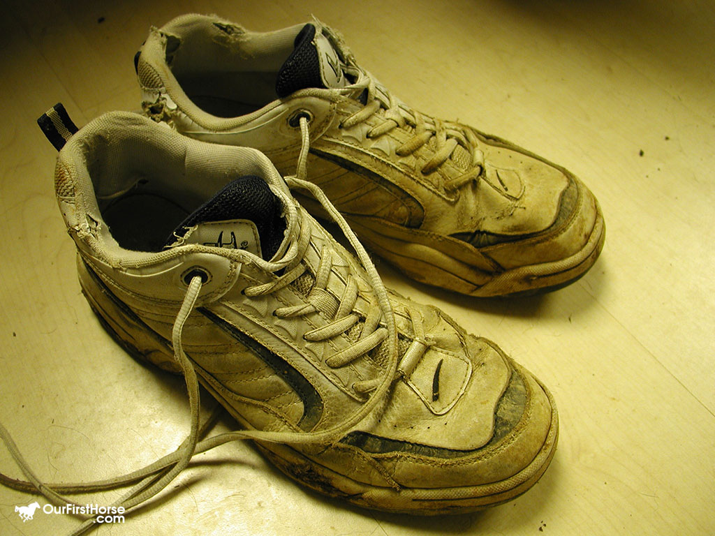 shoe barn online